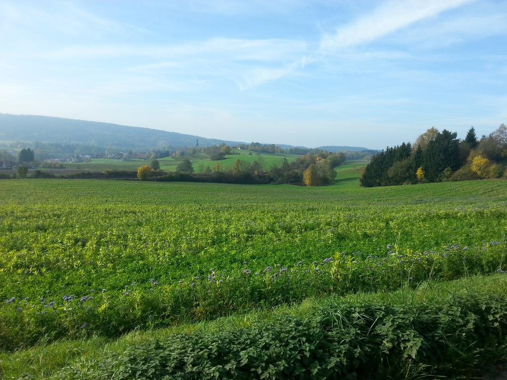 הוילה Hartmannsreuth Ferienhaeuschen Sans Pareille Bei Bayreuth מראה חיצוני תמונה